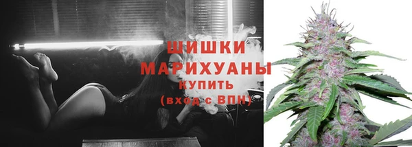 крисы Вяземский