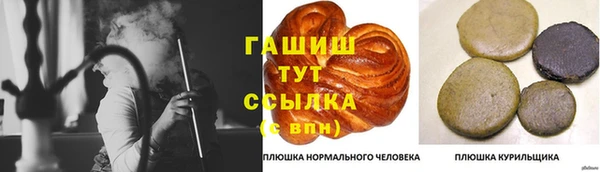 индика Приозерск