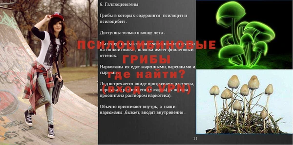 крисы Вяземский