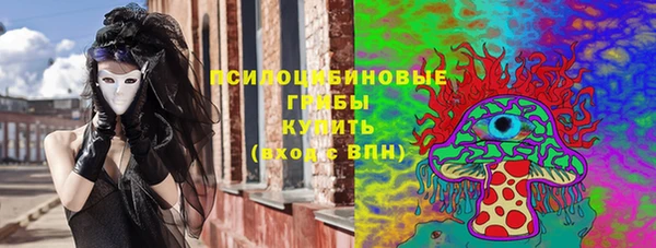 крисы Вяземский