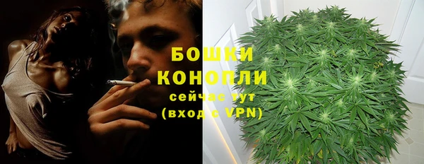 MESCALINE Покачи