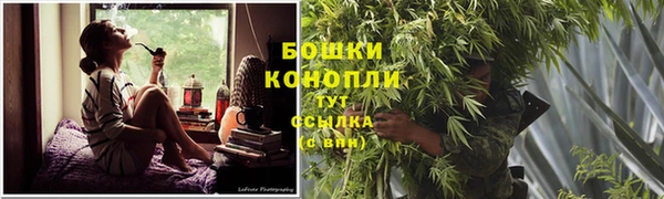 крисы Вяземский