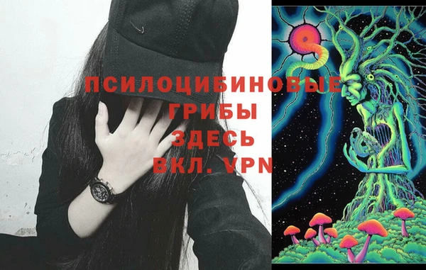 соль курить ск Вязьма