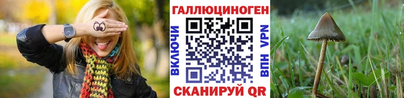 Псилоцибиновые грибы GOLDEN TEACHER  Бикин 